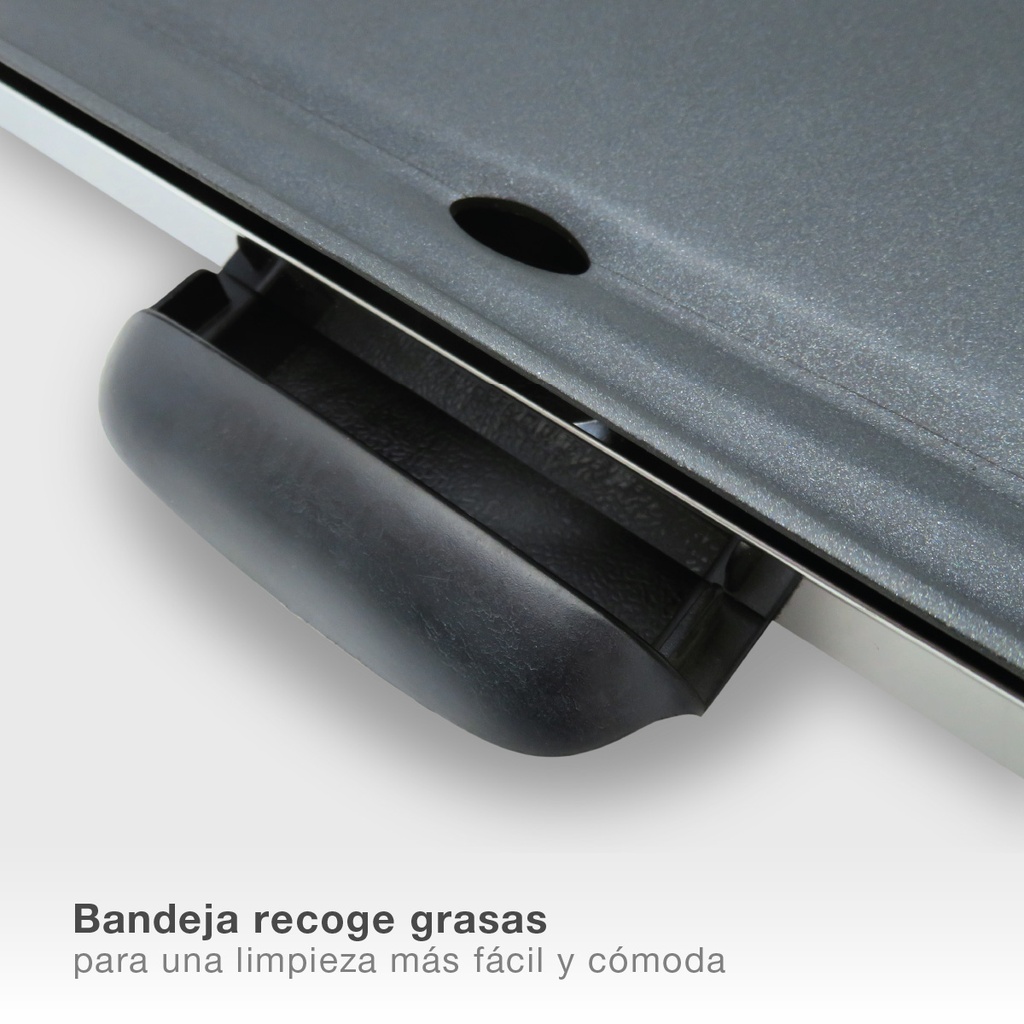 Plancha de asar Steke 2000W